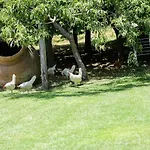 El Pinarejo Holiday home