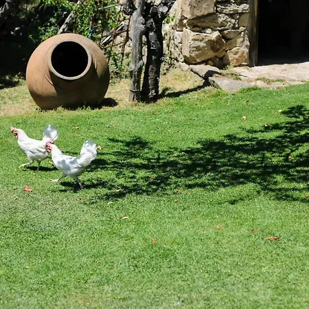 El Pinarejo * El Arenal (Castile and Leon)