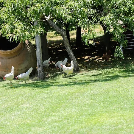 El Pinarejo Dom wakacyjny